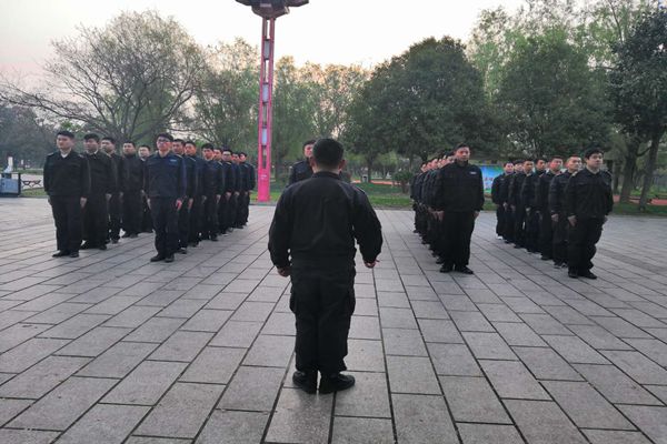 1555717760105251.jpg 33.jpg