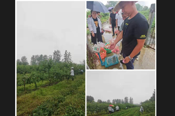 1625786141472467.png QQ剧20210709071049.png