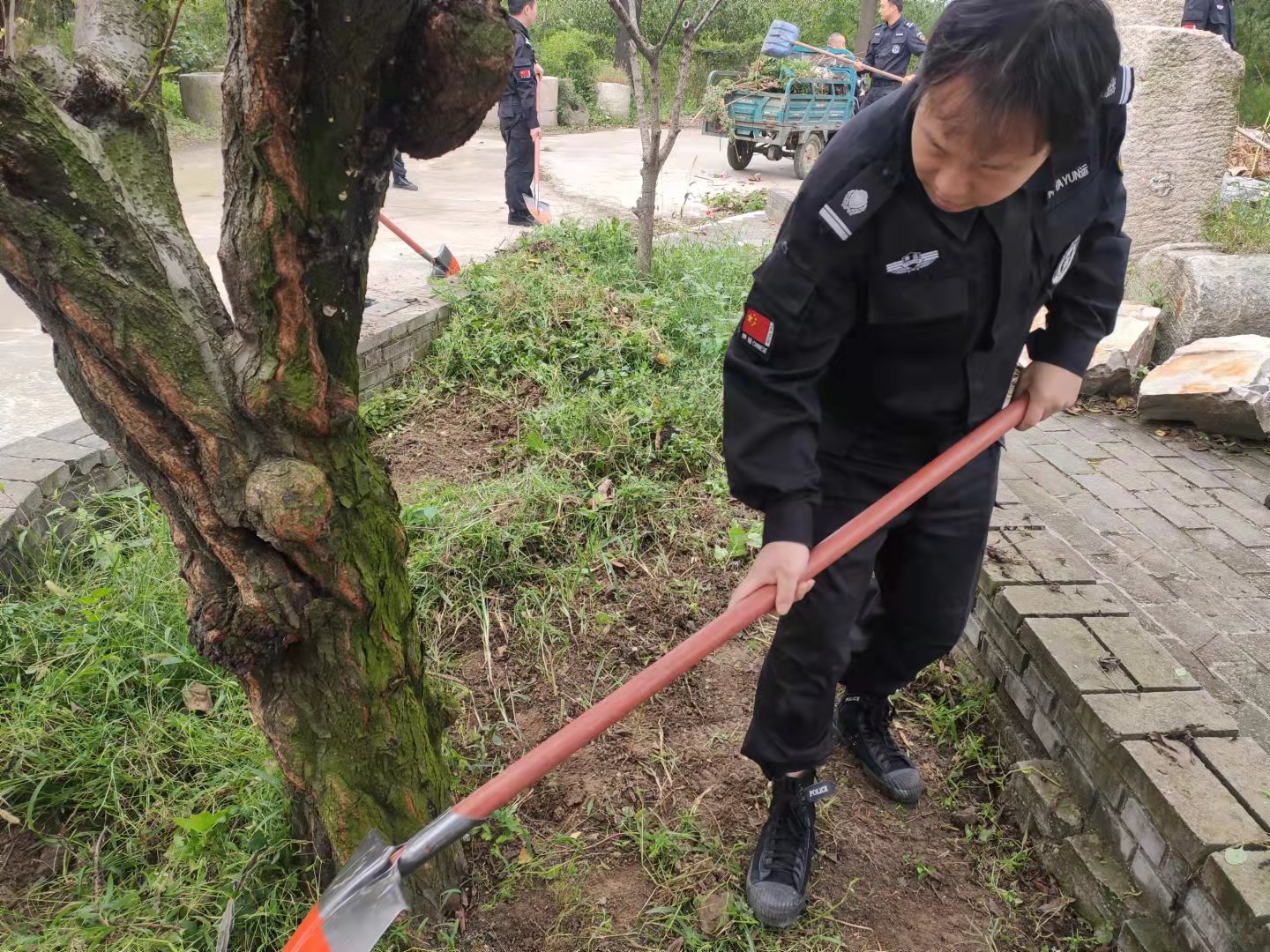 1634199753480560.jpg 1634199753480560.jpg