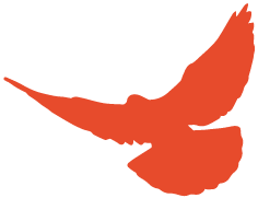 1648517306579652.png 图片4.png