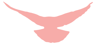 1648517320361141.png 图片5.png