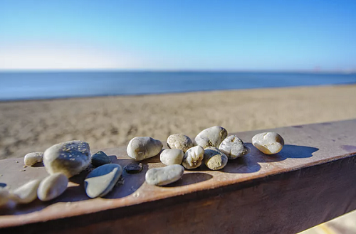 1651019569253190.png 图片1.png