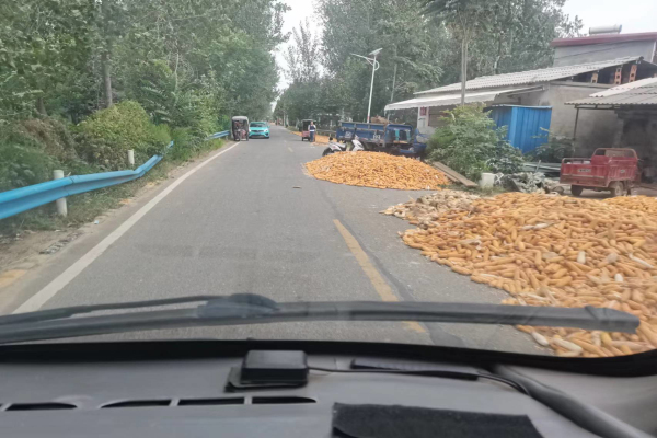 1664846230138198.jpg 寰俊剧_20221004091124.jpg