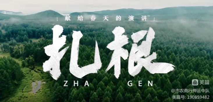 1682558170312663.jpg 1682558170312663.jpg