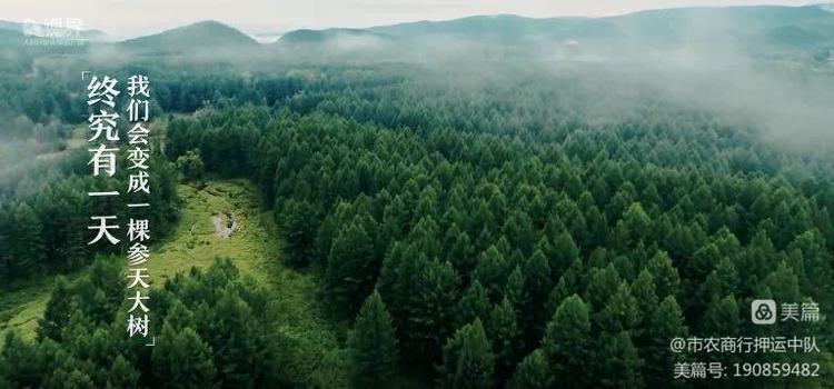 1682558239650494.jpg 1682558239650494.jpg