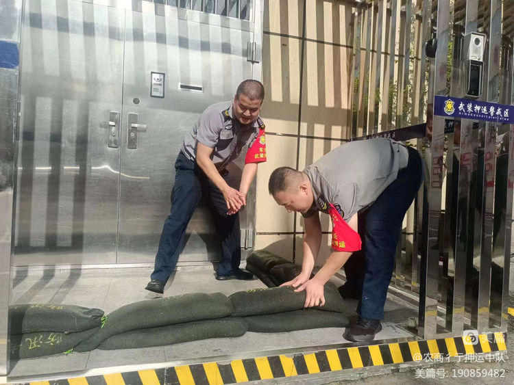 1690686940844260.jpeg 1690686940844260.jpeg