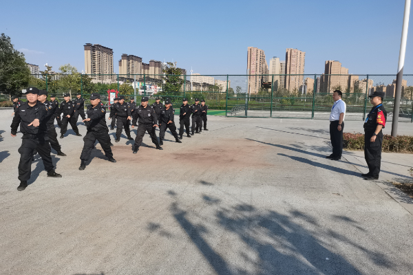 1697598549941475.jpg 1.jpg