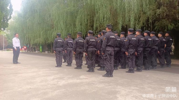 1697849716142729.jpeg 1697849716142729.jpeg