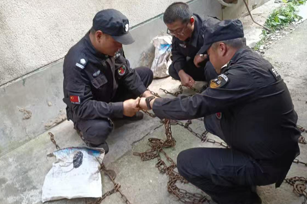 1731371974117325.png 1731371854171.png